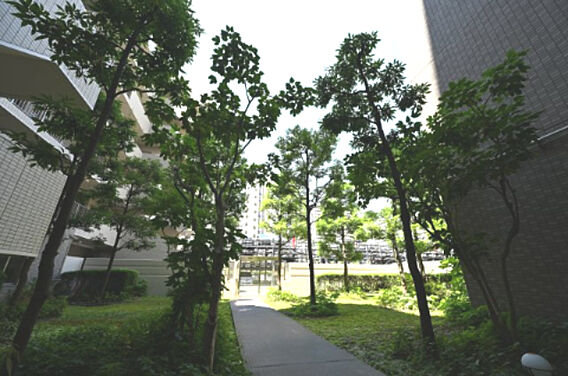 共用部に緑が多...