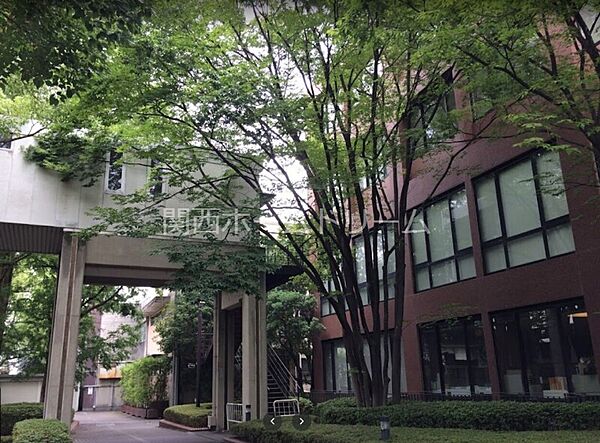 画像28:私立大阪国際大学短期大学部 1633m