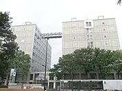 早稲田大学早稲田キャンパス 640m