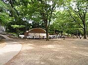 井の頭恩賜公園 800m