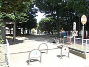 向井公園 25m
