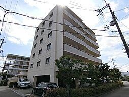 パル・コート 5階/503号室