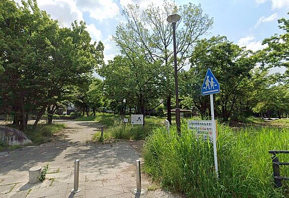 【東高根森林公...