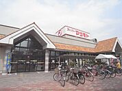 マツモト 大井店まで70メートル
