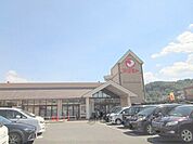 マツモト　荒塚店まで2700メートル