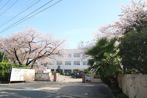 画像15:愛知県立熱田高等学校