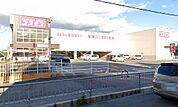 ディスカウントドラッグコスモス和泉和気町店まで徒歩１０分