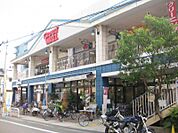 デイリーカナートイズミヤ桑津店まで徒歩５分