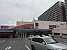 周辺：ダイエー堺店まで徒歩９分
