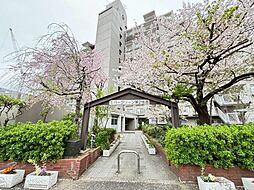 エバーグリーン第2住吉