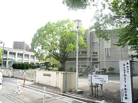 若松台小学校