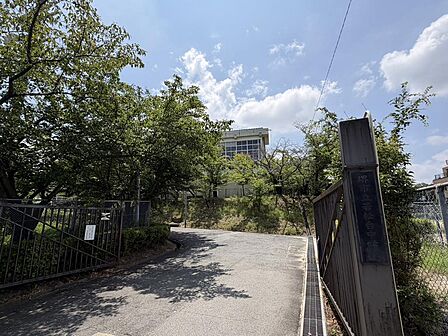 若松台中学校