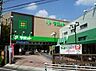 周辺：サミットストア 久我山店（283m）