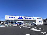 マルエドラッグ高崎小八木店 800m