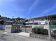 片岡ナーサリー 613m