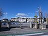 周辺：高崎市立佐野小学校 782m