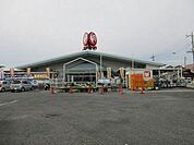 コメリハード＆グリーン新田店 2079m