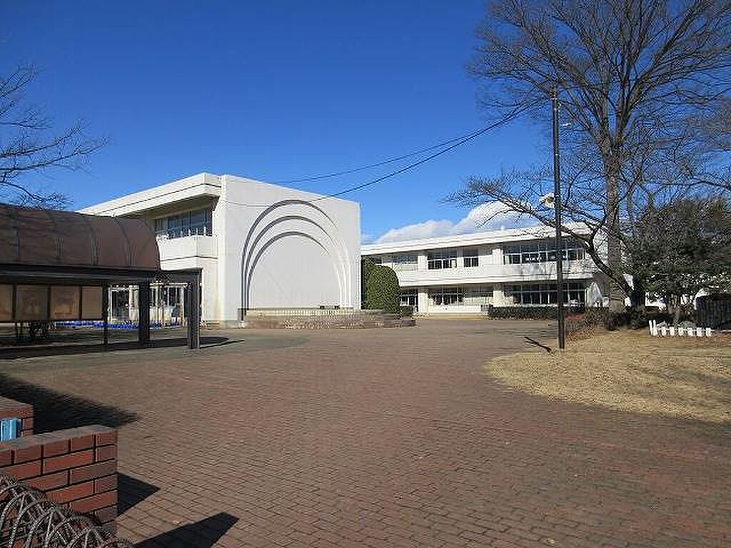 Image 14