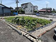 ■現在畑として使用中、畑にもおすすめです♪