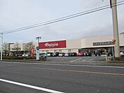 ベイシア尾島店 2584m