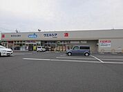 ウエルシア太田宝泉店 1134m