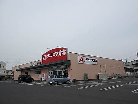 クスリのアオキ新島店 1097m
