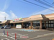 エコスTAIRAYA小金井店 630m