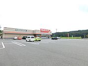 ツルハドラッグ宇都宮下田原店 2117m