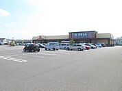 かましん平松本町店 1218m