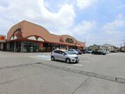フードオアシスOTANI五代店 1298m