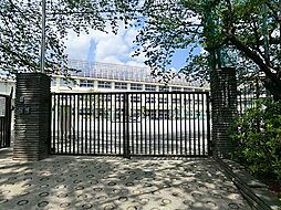 プレシス練馬