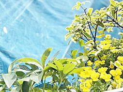 中野区白鷺2期　2号棟