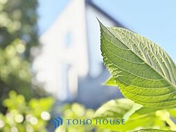 杉並区下井草4丁目