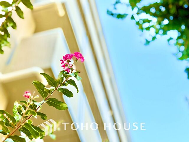 外観 フェアベール東府中 2階/-