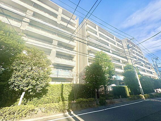 【そよぐ風、緑...