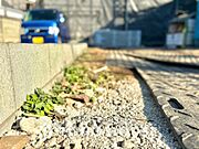 【APPEARANCE】◆眩い◆光が燦々と入り、家族の笑顔を照らす。「いつまでも続いて」と願う夢のような毎日がここにある。