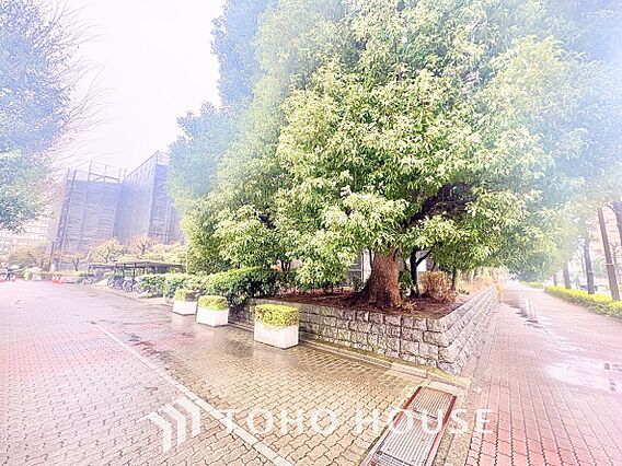 【APPEAR...