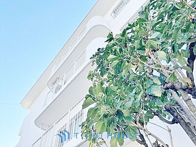 外観:◆水面に映る◆紅葉を纏った山々を眺め、美しさのあまり感嘆のため息を漏らした事は無いだろうか。いつしか忘れかけていた自然の美しさと力強さを思い出させてくれる、そんな景色がここにもある。 外観:◆水面に映る◆紅葉を纏った山々を眺め、美しさのあまり感嘆のため息を漏らした事は無いだろうか。いつしか忘れかけていた自然の美しさと力強さを思い出させてくれる、そんな景色がここにもある。