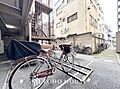 現地に実際に行...