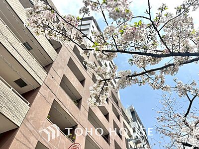 外観：漂う上質な空気感、マンションに入れば「おかえりなさい」と笑顔で迎えてくれるエントランス。最良の心配りを感じるマンションでした。