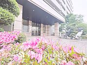 【APPEARANCE】◆安らぎ◆整然と整備された街に風が吹き、木々が揺れる。絵にかいたような心安らぐ環境です。