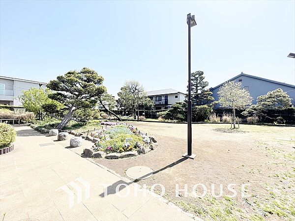 周辺を拡大表示