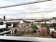 【Balcony】室内とつながる自然な広がり。布団干しも可能なゆとりある設計。実用性も兼ね備えたバルコニーです。