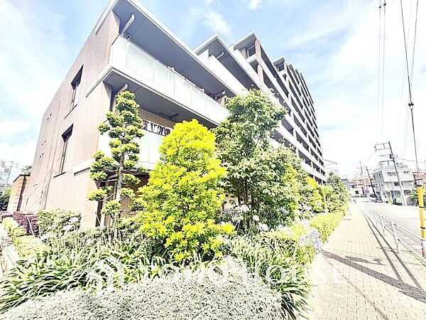 周辺を拡大表示