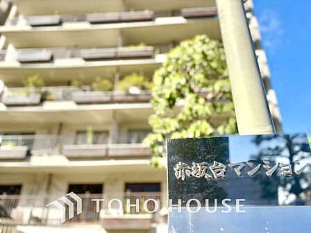 【APPEARANCE】◆眩い◆光が燦々と入り、家族の笑顔を照らす。「いつまでも続いて」と願う夢のような毎日がここにある。