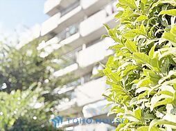石神井公園パークハイツ
