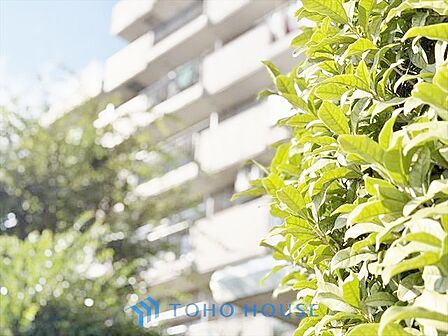 【APPEARANCE】◆ここが居場所◆家族みんなが集うこの場所で、あなただけのSTORYを。あなたが笑い、家族が笑い、幸せが溢れる夢のような毎日を。