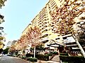 ◆居心地のいい...