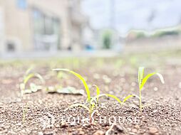 売地 杉並区西荻南1丁目 1区画