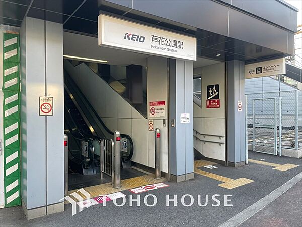 周辺を拡大表示